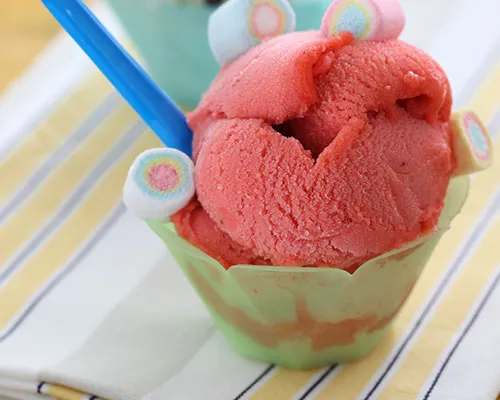 A scoop of red sorbetto in a cup